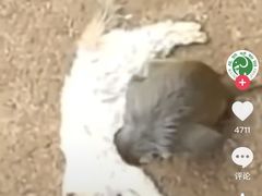 -昆明动物园