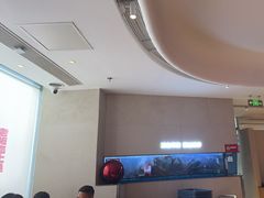 -老板恋上鱼(恒隆广场店)