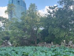 -无锡蠡湖国家湿地公园-蠡园