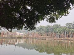 -三水森林公园