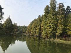 -华南国家植物园-售票处