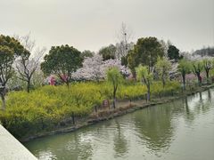 -自然谷恐龙园