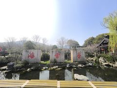 -香雪海
