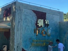 -广东惠东海龟国家级自然保护区