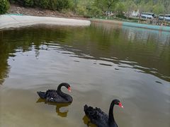 -静之湖度假区