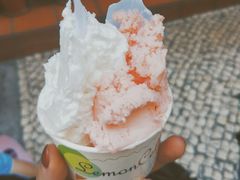 柠檬车露&红番石榴-柠檬车露(卖草地店)
