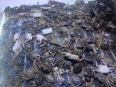 -聚盛源蒸汽海鲜火锅烤肉自助(巨川金海岸购物广场店)