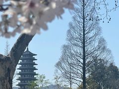 -宜兴龙背山森林公园