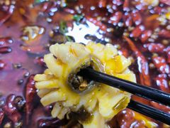 -重庆何乌鱼(南湖逸家店)