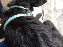 -星巴克臻选(深圳嘉里建设广场店)