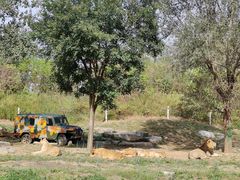 -北京野生动物园