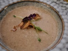 -Hi City·城市之巅