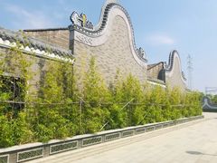 -王借岗森林公园