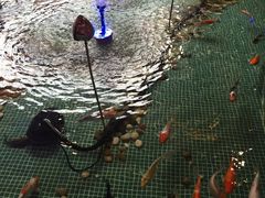 -水晶之星洗浴温泉汗蒸