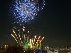 -台场海滨公园船码头