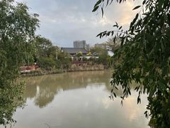 -大亚湾红树林城市湿地公园