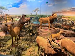 -陕西自然博物馆