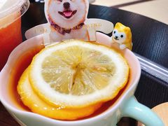 -逗柴咖啡屋·狗咖猫咖宠物桌游