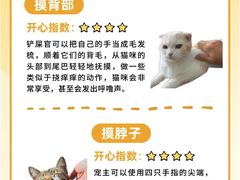 -荔康动物医院(康王北路店)