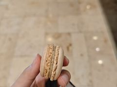 -Pierre Marcolini(德基广场店)