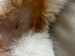 -荔康动物医院(康王北路店)