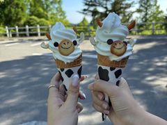 -神户市立六甲山牧场