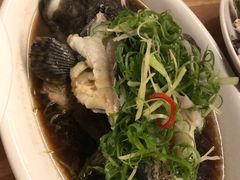 -芽庄MP泰式海鲜海景餐厅