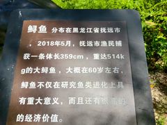 -汤旺河林海奇石景区