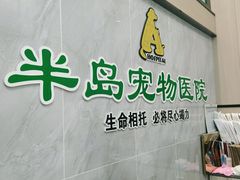 -半岛宠物医院24小时(科华中路店)