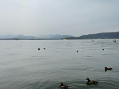 -西湖游船