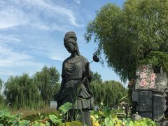 -白洋淀景区