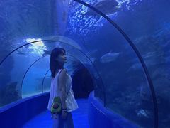 -左海海底世界