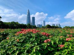 -深圳人才公园