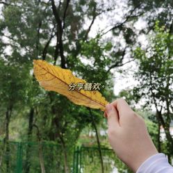 -佛灵湖水上乐园