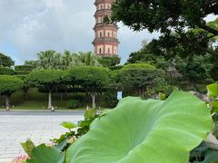 -广州莲花山旅游区