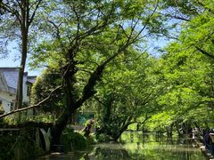 -西溪南古村落景区