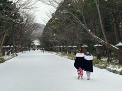 -北海道神宫