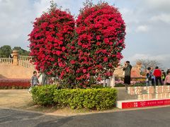 -东莞植物园