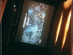 -碧涛阁·泡泡海洋·汤泉洗浴(王府花园店)
