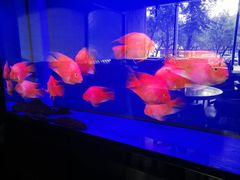 -柒Lounge(三里屯店)