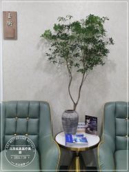-北京炫美医疗美容