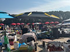 -雪绒花路停车场