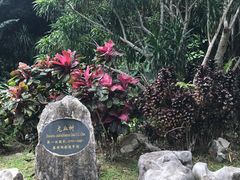 -中国科学院西双版纳热带植物园