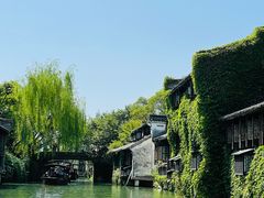 -乌镇西栅景区