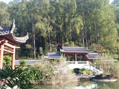 -广州神农草堂中医药博物馆