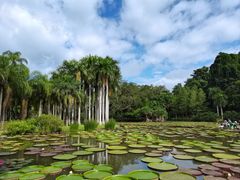 -中国科学院西双版纳热带植物园