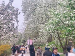 -元大都城垣遗址公园