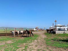 -呼伦贝尔大草原巴尔虎蒙古部落民俗旅游度假景区