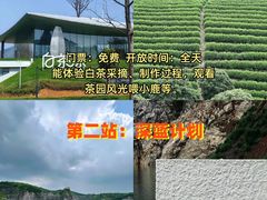 -阿露佳·舌尖上的安吉菜