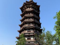 -洋湖国家湿地公园